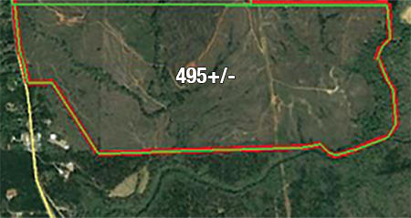 PLAT_495